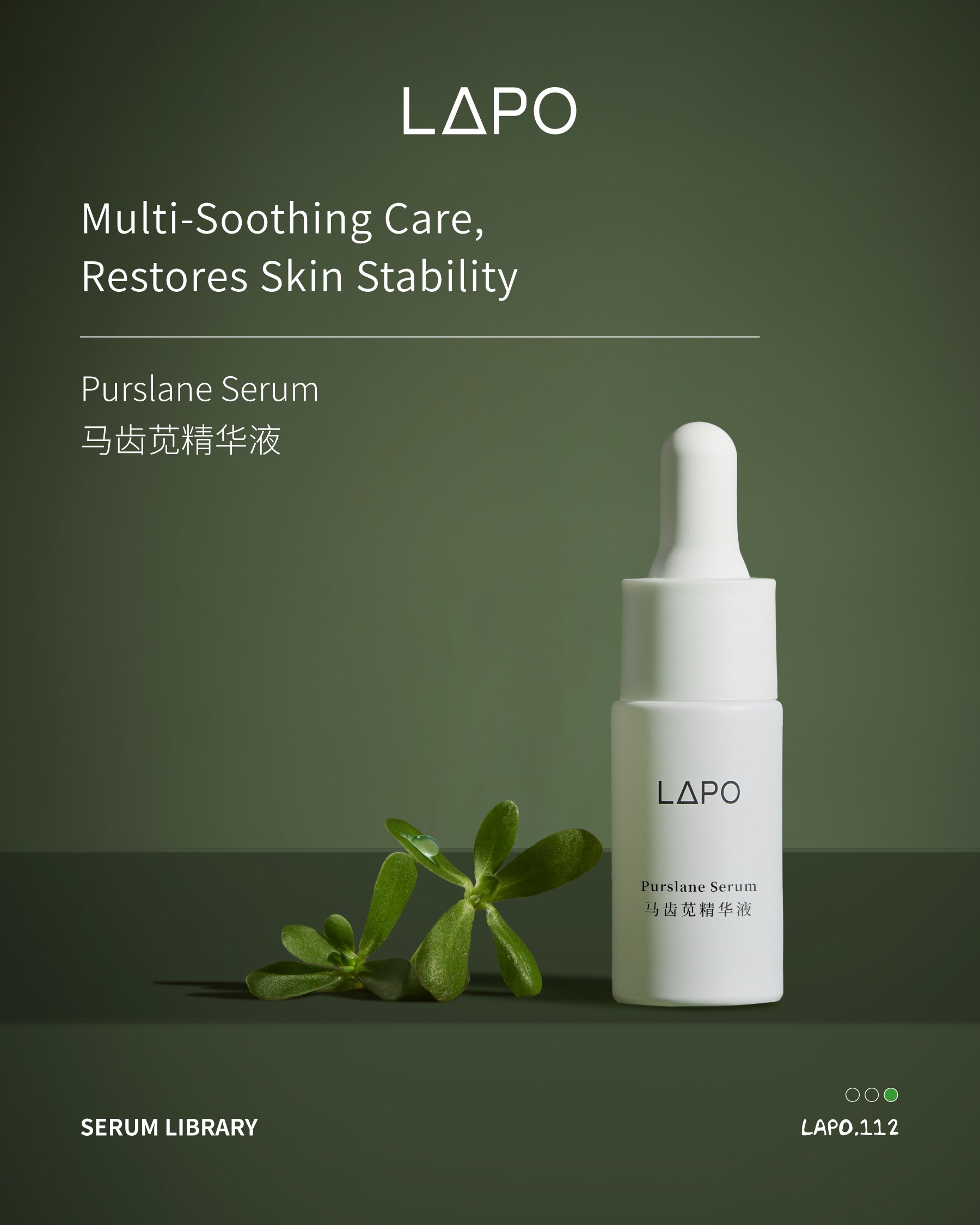 LAPO Purslane Serum bottle in a white dropper design, displayed next to a green succulent stem on a dark olive green background with product text on the left.
